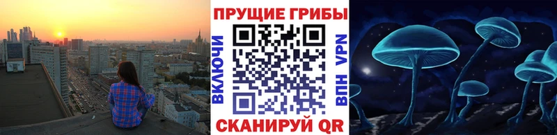 Псилоцибиновые грибы ЛСД купить наркотики цена Сычёвка